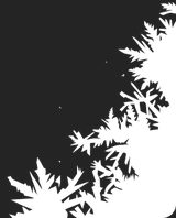Img_Shop_Attendance_Deco__1.png