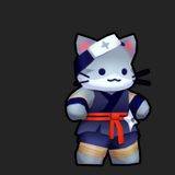 Face_Skin_Cat__1.png