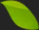 Img_Leaf_V01__2.png