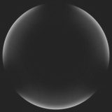 ring_shockwave__1_260.png